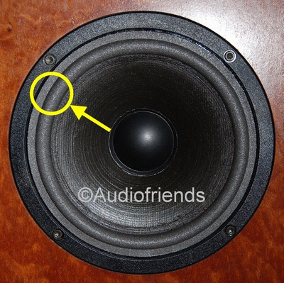 IQ Level 2 - LPT173/25/100FS - 1x surround for repair