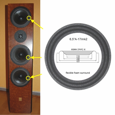 IQ Level 2 - LPT173/25/100FS - 6x foamrand voor reparatie woofer-midrange.