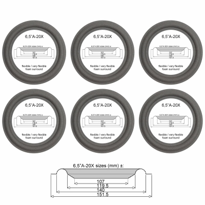 Magnat Concept 1200 - W165CP870G - 6x Sicke für Reparatur