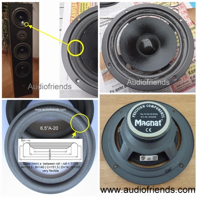 Magnat Concept 1200 - W165CP870G - 6x rand voor reparatie.