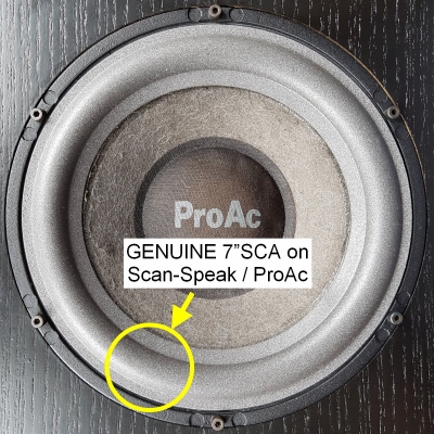 Proac Studio 1, 1mk2 - 1x ORIGINALSICKE für Reparatur