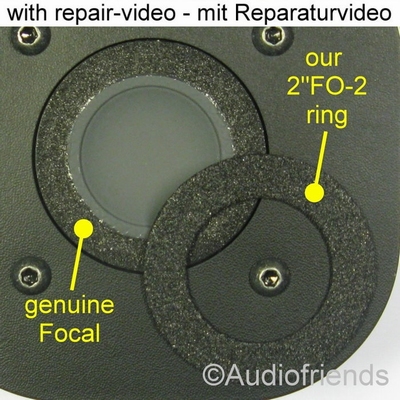 Audiovector F3/LYD (Focal) - 1x Schaumstoff Sicke tweeter