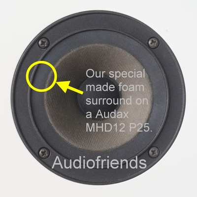 Fourier Model 1 speaker > FLAT FOAM surround for midrange.