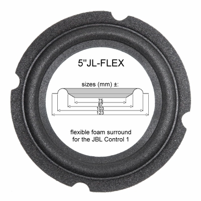 Jbl control sales 1xtreme speakers