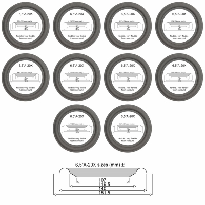 Philips -30% discount - 10 x 6,5"A-20X for repair loudspeaker.