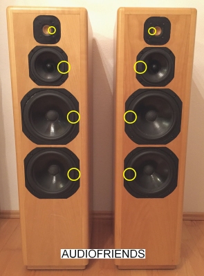 Focal Temptation - 8x RUBBER/FOAM randen voor reparatie.