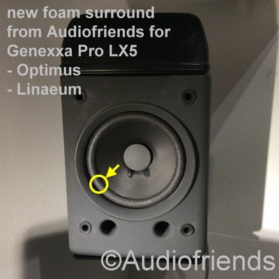 1x Foam surround for repair Linaeum LX5 (Optimus Pro).