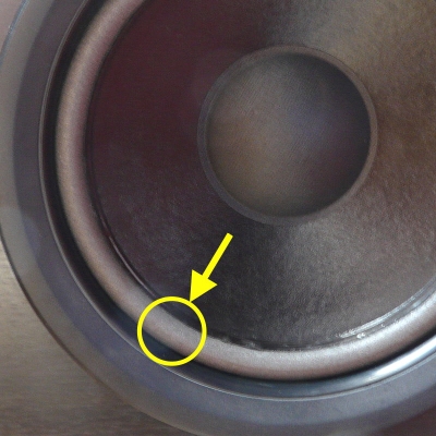 Philips Monitor 100 - 80667 w4 - 1x Foamrand woofer