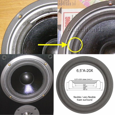 Magnat Mirage 8 MKII - 1x Foam surround
