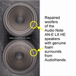 Audio Note AN-E Schaumstoff Orig.-Sicke (SEAS A21 FE/B)